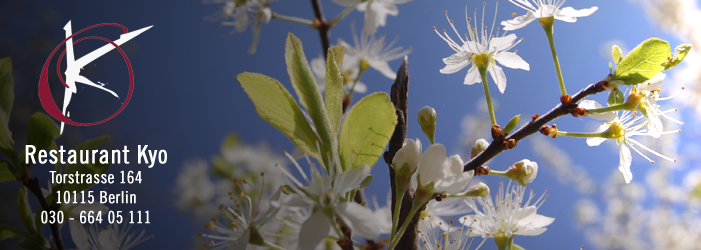 restaurant kyo berlin